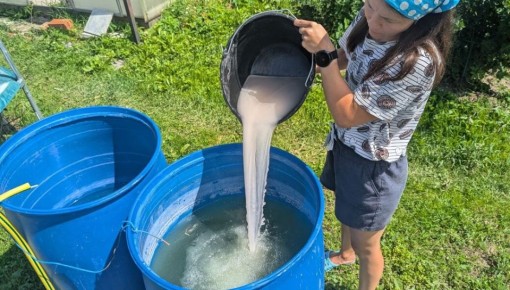 ����� ����������� ��������� ������ � ����: ��� ���������� ������� ������