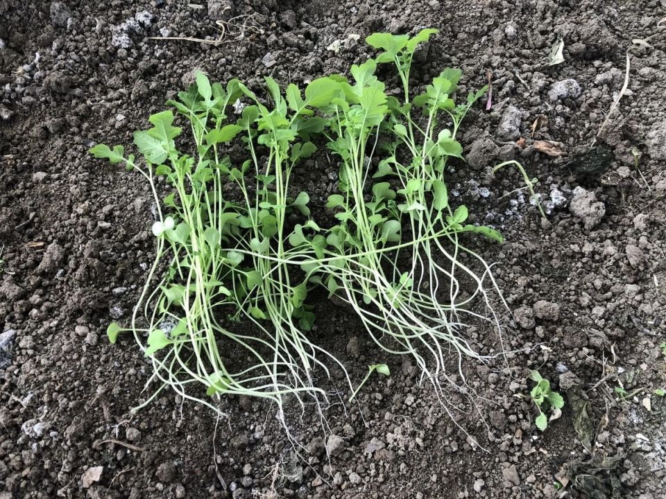 10 �������� ��������� ����������� �������: ��� �������� ���������������� ������