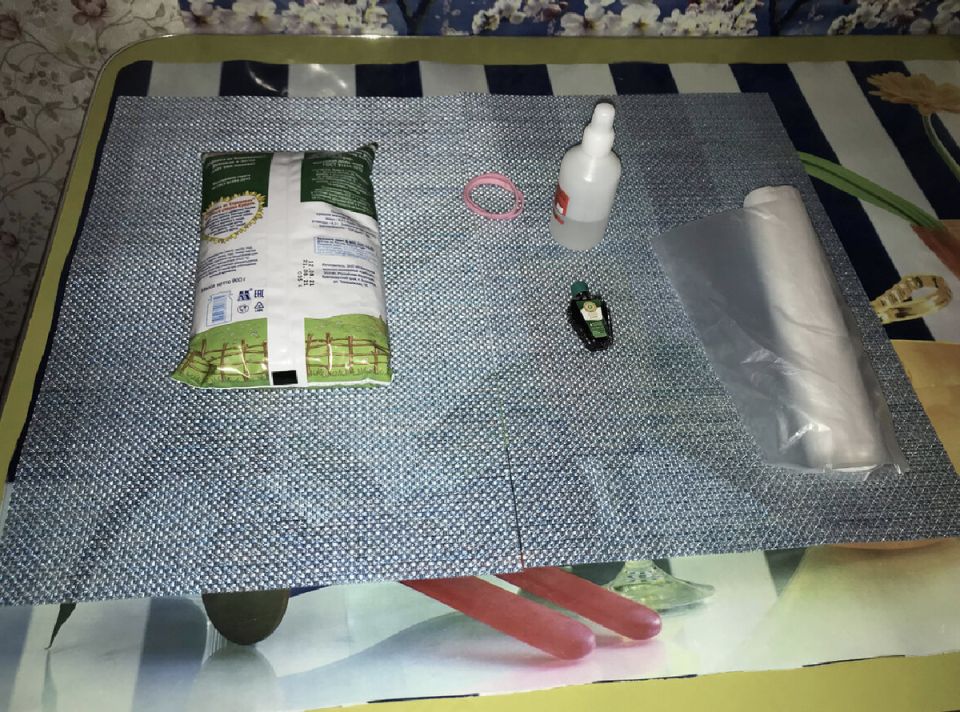 ������� ����� �� ����� ����: ��� ����� � ������ ����� ������ �������� ����������