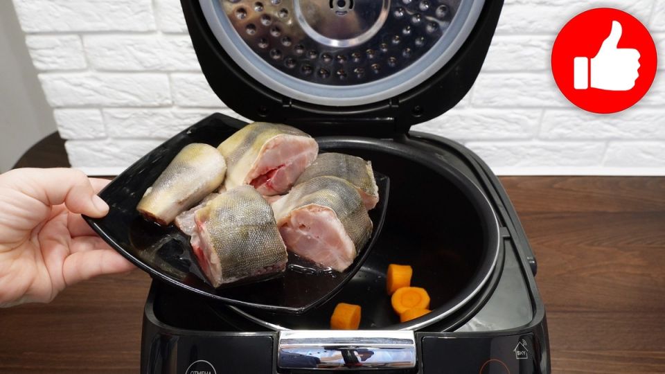 ������ � ������� ����: ���� � ������� � �����������