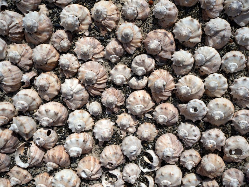 �������� ������ � ������������� �������: ������ �� ���������