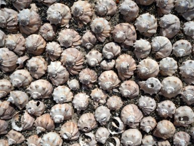 �������� ������ � ������������� �������: ������ �� ���������