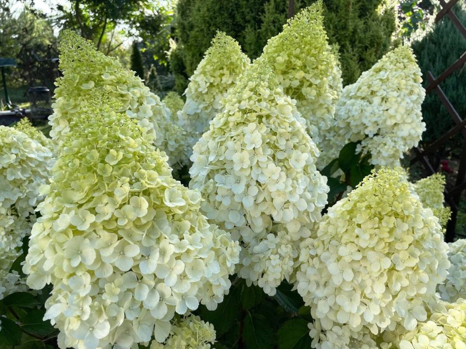 ������ ����������� ��������� �� ������: 8 ����������� ������