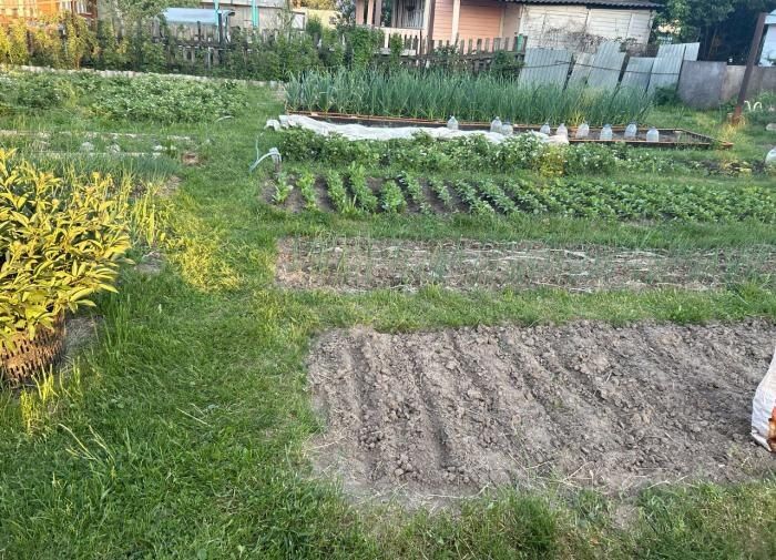 ��������� ��������� ��������: 11 ������������ �������� ��� ������� ������