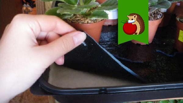 ����������� ����: ������� ��������� ����� �� ��������