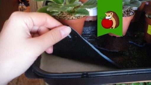 ����������� ����: ������� ��������� ����� �� ��������