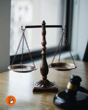 Клиент BUBUKA одержал победу в суде против ВОИС и избежал штрафа