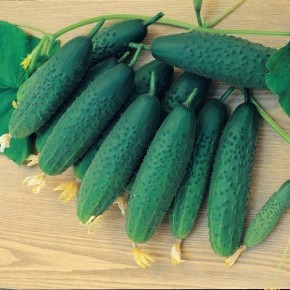 ������ ������: ������������� ������ ��� ������ �������