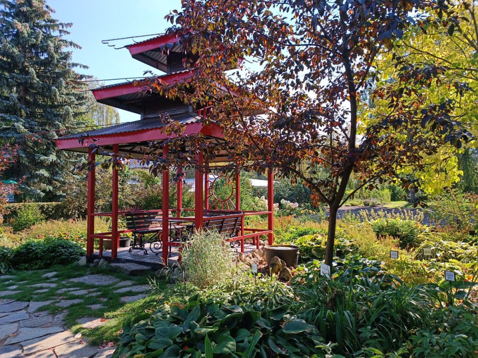 �����: ����� ��������� �������� ���, ������� ����� �������� �� ����