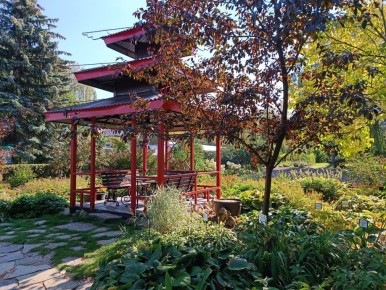 �����: ����� ��������� �������� ���, ������� ����� �������� �� ����