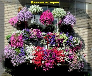 ������� ��������� ������ �������: ������ ������� ���������