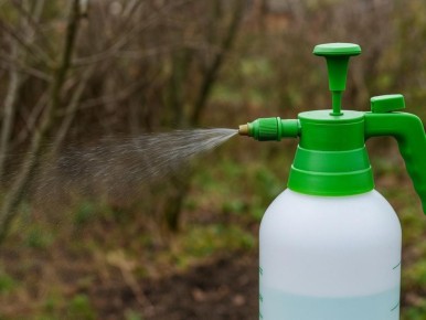 ����� � ����: ��� ������������� ����� ���������� �� �����