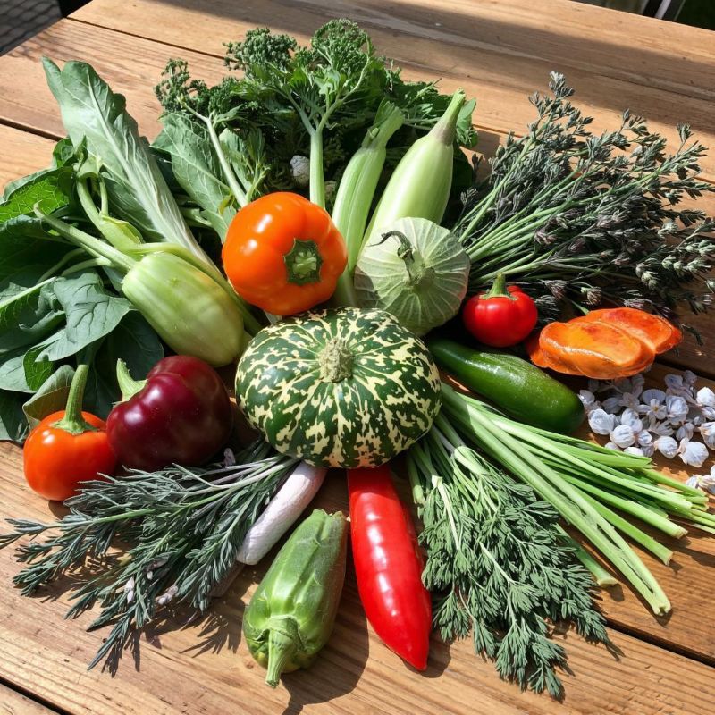 ����� �� �������� ��������: ��� ��������� ������ � �������� ���������� �����