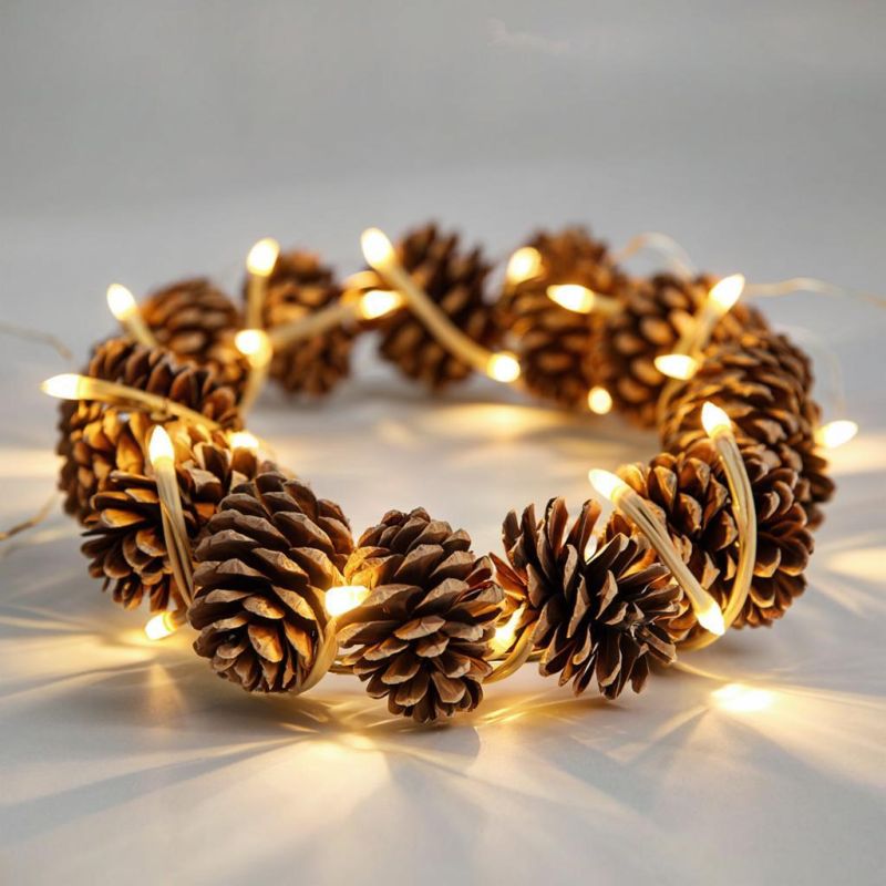 �������� ��������� �������� �� �����: ��������� ��� �����