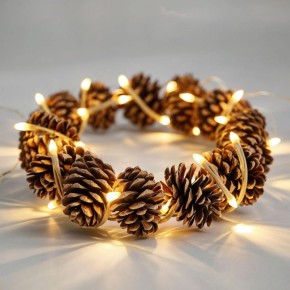 �������� ��������� �������� �� �����: ��������� ��� �����