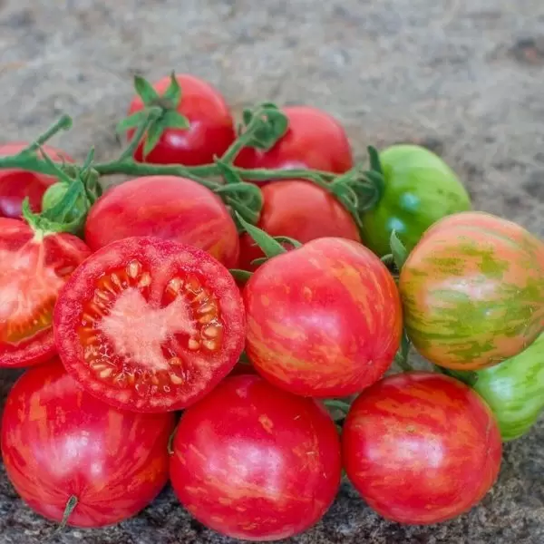 Клубничный тигр: как экзотические томаты завоевывают популярность