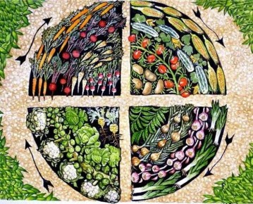 ����������: ���� � �������� ����� � ������� �������