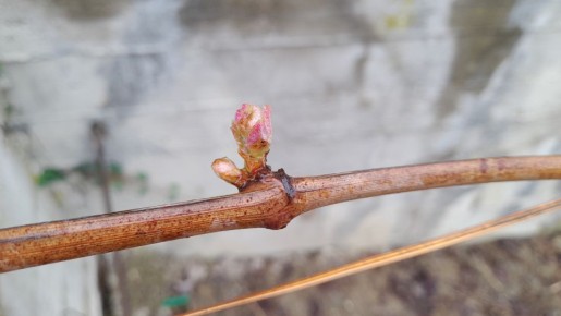 ����� �� �������: ������� �������� ��������� ���������