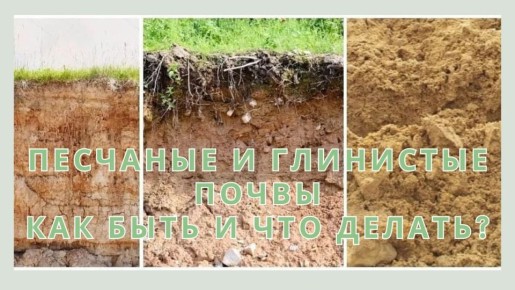 Песчаные и глиняные почвы: Как сделать их плодородными