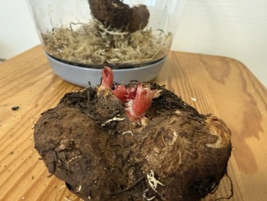 ������� ��������� ������������ � ������� ��������� �������