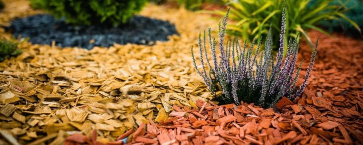 ��� ������� ��������� ������ ��� ������: ������ �� ����������