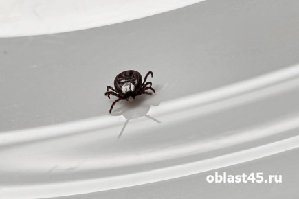 � ������� �� ����� �������� �������� ��������� ���������� �� ������