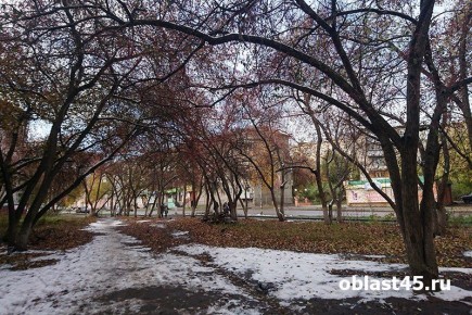 ������ ��������� �� -8 �������� ������ � ���������� �������