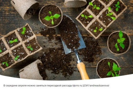 ��� ������������ ������ ��������� ��� ��������� ����������� � 17 �� 23 ������