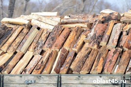 Власти Зауралья проверят, как управление лесного хозяйства обеспечивает граждан дровами