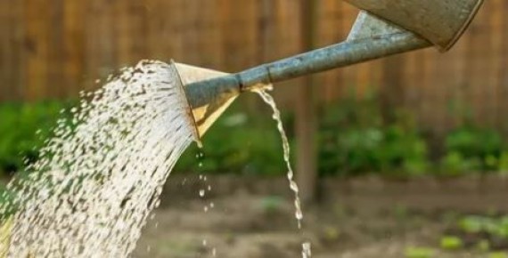 ������� ������� ���������: ��� ����� � �������� ����� �������� ��� ���