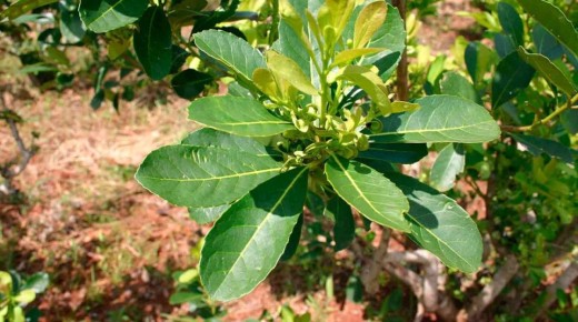 ����: �������� ����� ������� � ������ ������