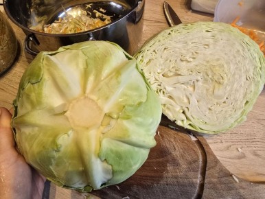 ���� �������: ������� ��������� ������� �� ����