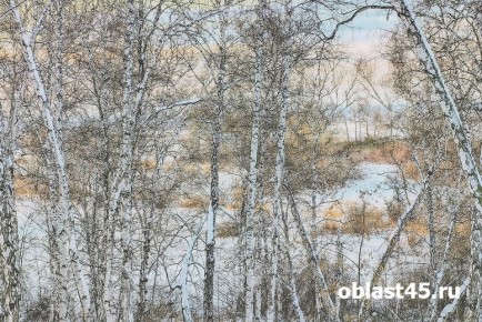 Главный аллерген средней полосы России может активизироваться раньше срока