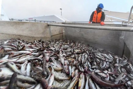 �������� ������ ���� � ������: ��������� � �������� �� 2026 ���