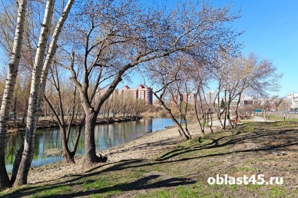 � ������� ������������ ���������� ���� ������ � �����