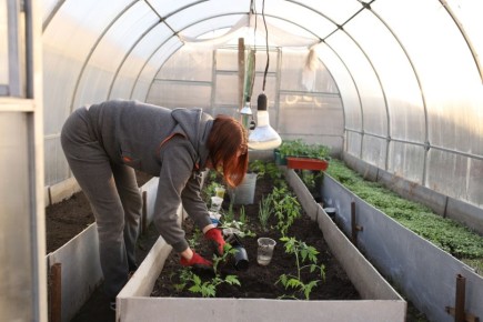 ��� ����������� ������� � ������ ������: �������� ������������ ��� ��������