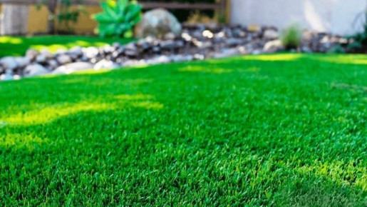 Создание идеального газона: практическое руководство