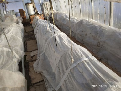 ��� �������� ������� ������ ������� � �������: ������ � ��������