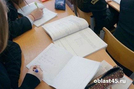 По триместрам или четвертям: курганцы выберут формат учёбы на следующий год