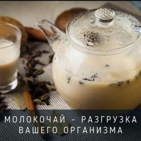 Польза разгрузочного дня на молокочае: как похудеть с удовольствием