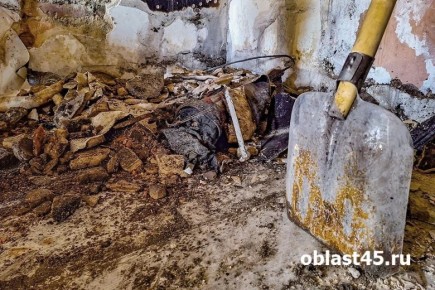 В Курганской области сгорела пилорама