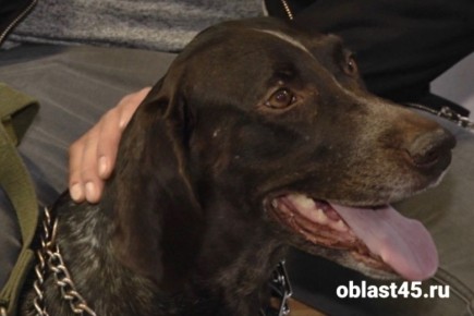 ��� - ������� �������: ���������� ���������� � ������� �������� ��������� ��������� ������ �� ��� 4 ����