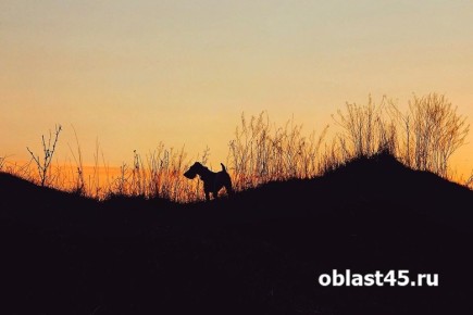 ����� ����� ���� �������� �� ���������