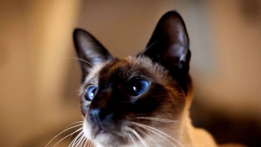 ����� � ����������: ��������, �������� � ����������� ���������