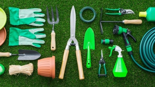 ������ �������� ��� ��������: ��������� � ���� ��� ������ ����