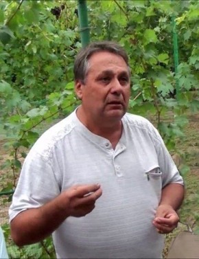 �������� ������: ����� ��� � ���� ���������