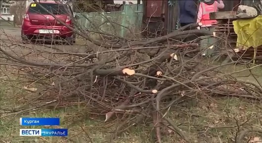 � ������� ������������ ���������� ������ � ������������ � �������������� ����� ����������