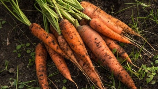 ��� ������� ������� �� ���������� �������: ������� ��������� �����