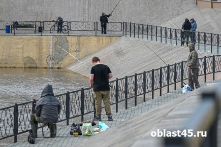 ����������� ����������: ����� � ������� �������� 10 ����������� �� �����