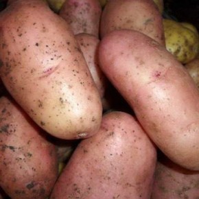 ��������� ������: ������ ���� � ����������� ���������������� � ������������� ��������������